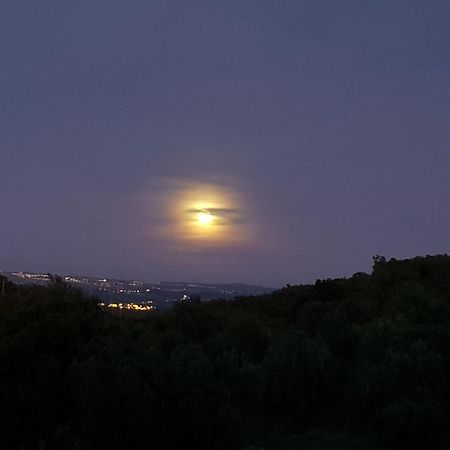 埃斯特雷莫斯Quinta De Evoramonte别墅 外观 照片