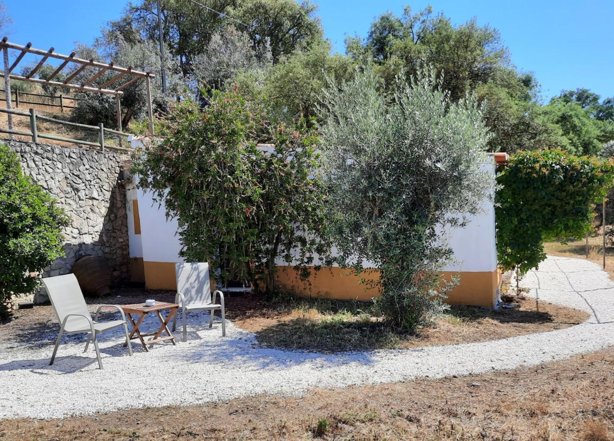 埃斯特雷莫斯Quinta De Evoramonte别墅 外观 照片