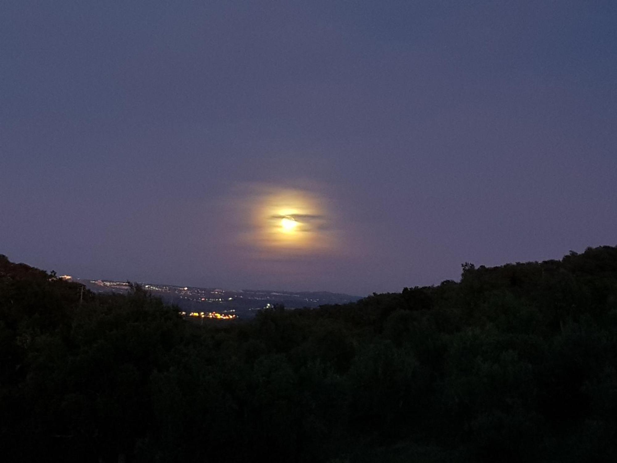 埃斯特雷莫斯Quinta De Evoramonte别墅 外观 照片