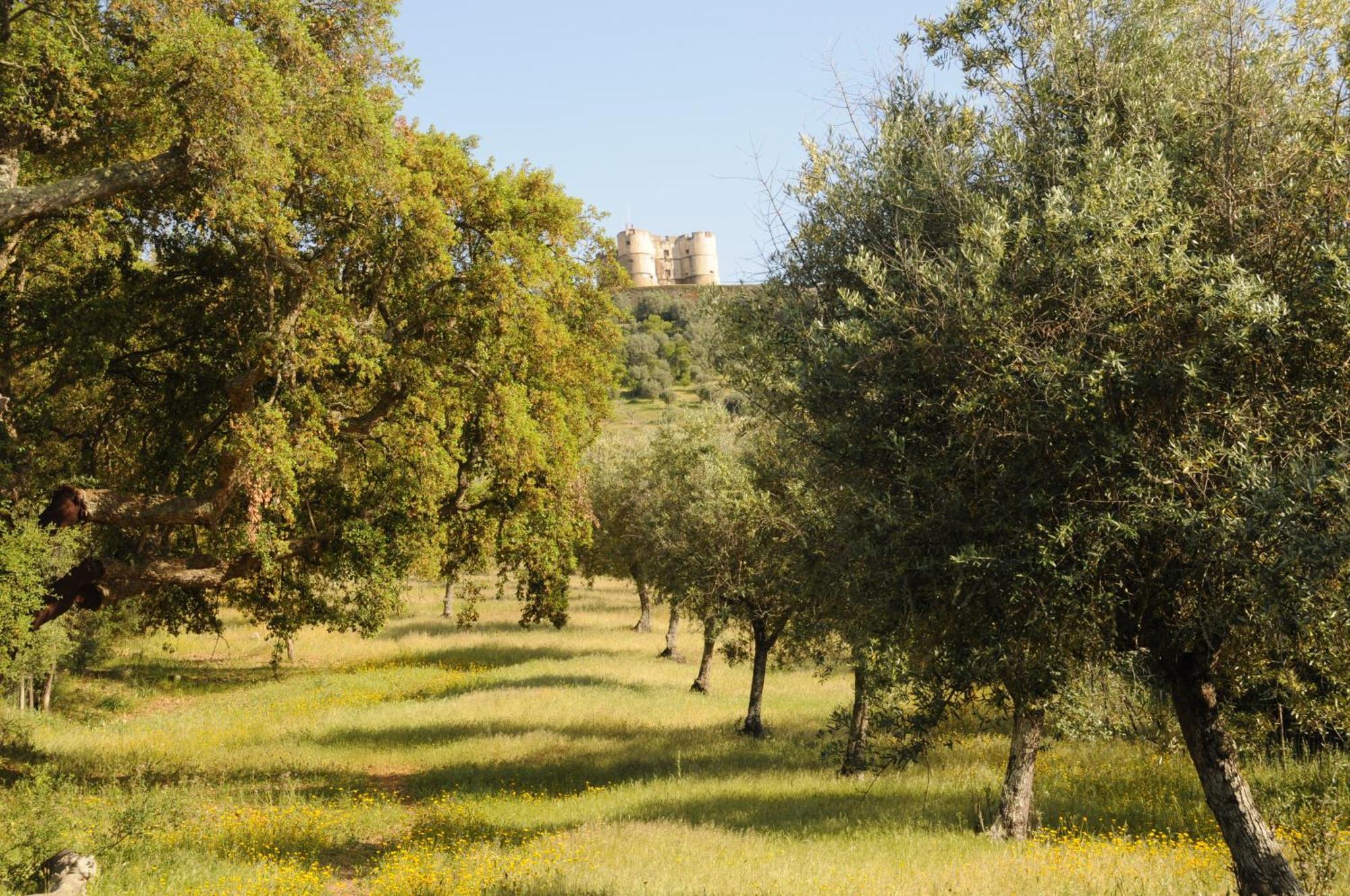 埃斯特雷莫斯Quinta De Evoramonte别墅 外观 照片